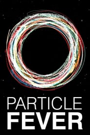 Particle Fever (2013)