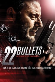 22 Bullets (2010)