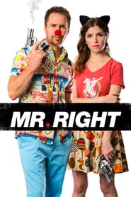 Mr. Right (2016)